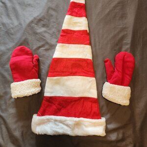 Holiday accessories:  Hat and Mittens